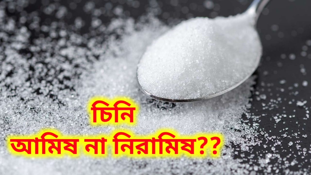 fact about sugar