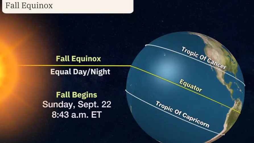 The first day of fall 2024: When Does Fall Start In 2024?