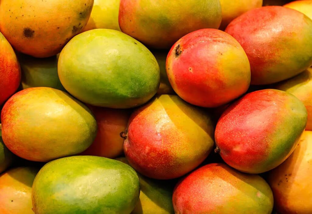 Hakugin no Taiyo: Top 7 Delicious and Costly Mango Varieties in the World