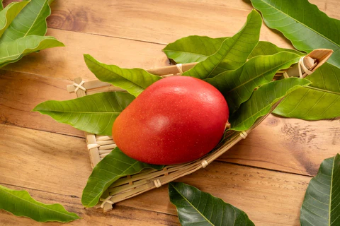 Miyazaki Mango: Delicious and Costly Mango Varieties in the World