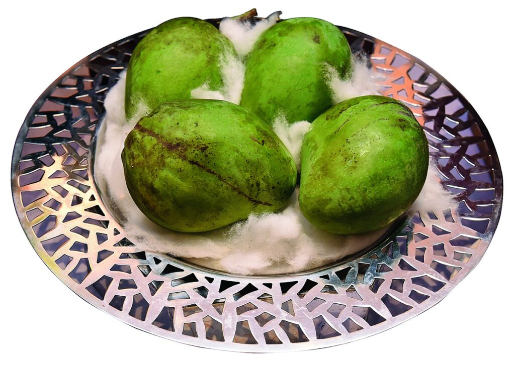 Kohitur Mango