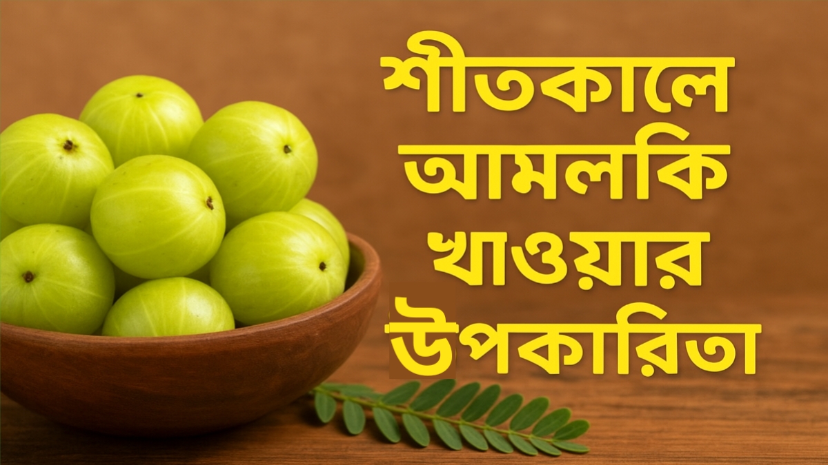 Amla health benefits in winter Bengali